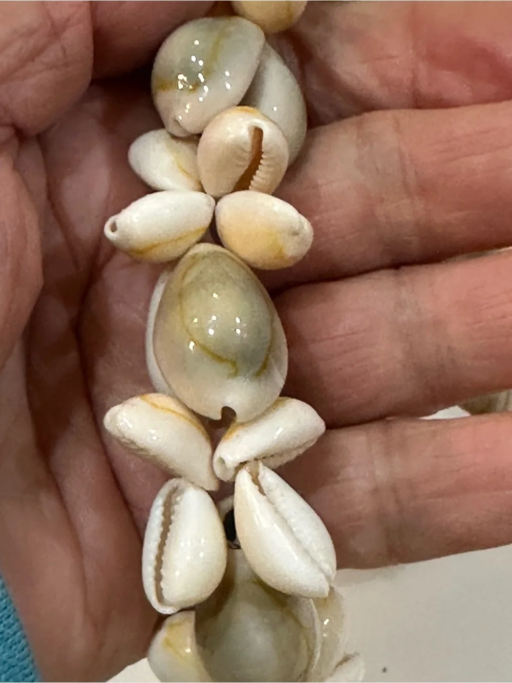 4 Piece Natural Cowrie & Mixed Shell Jewelry Set – Necklaces & Bracelet - Picture 6 of 11